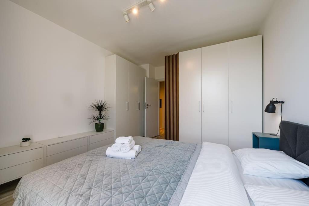 Luxury Apt. Near River & Parking Timişoara Exterior foto