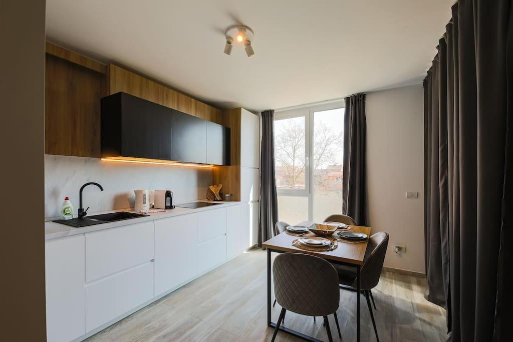 Luxury Apt. Near River & Parking Timişoara Exterior foto